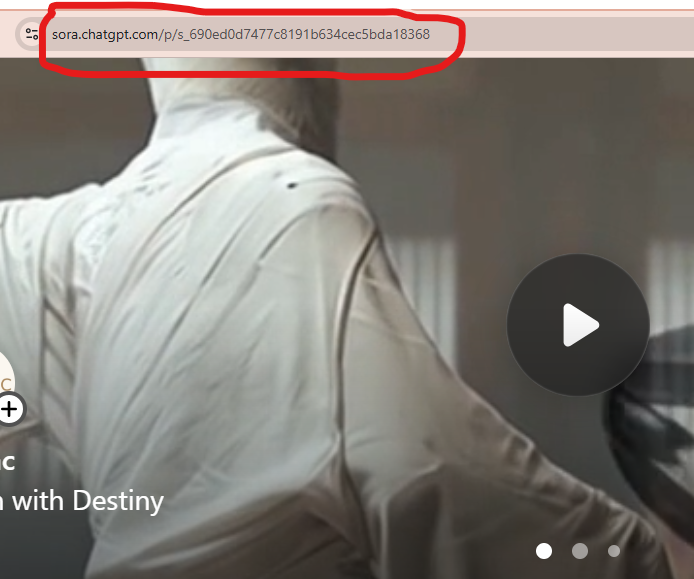 Desktop screenshot showing the video page and copy link option