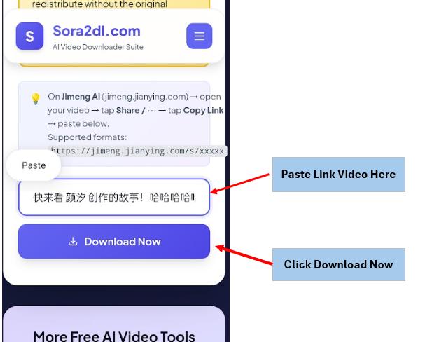 Step 4 — Paste link and click Download Now